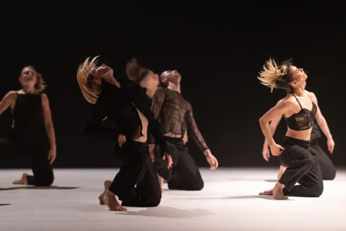 Sema wearepublic url hero lg webp