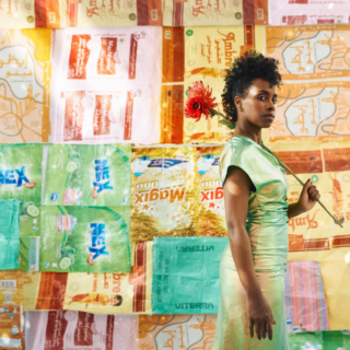 Plastic state of mind